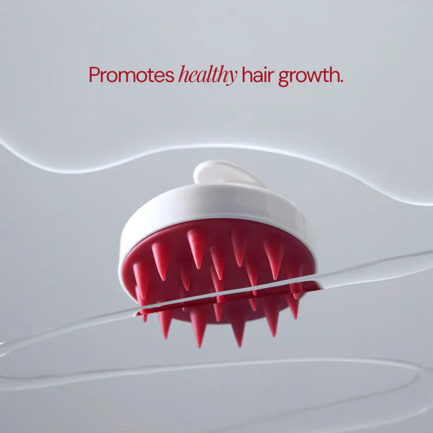 [MOEV] Scalp Massage Brush